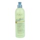Quitamanchas Clean Touch